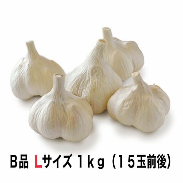 B品 十勝清水にんにく Lサイズ 1kg | JA十勝清水町ネットショップ